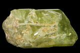 Gemmy, Yellow Apatite Crystal - Morocco #135393-1